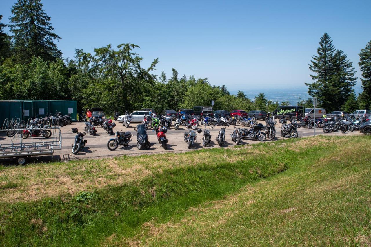 Zur Grossen Tanne Locanda *